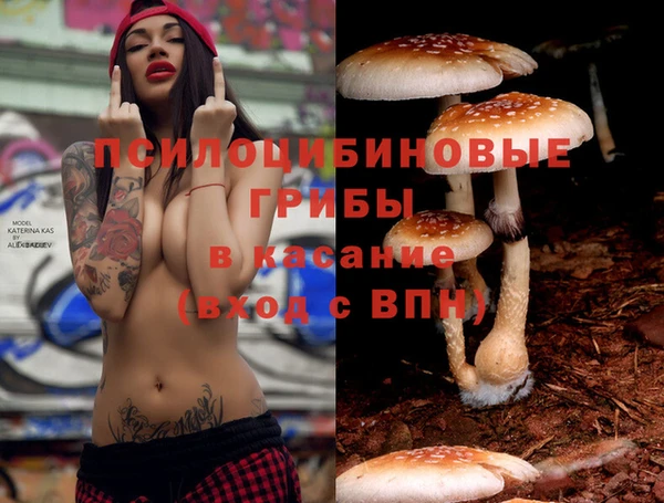марки lsd Аркадак