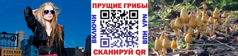 Галлюциногенные грибы MAGIC MUSHROOMS Лесосибирск